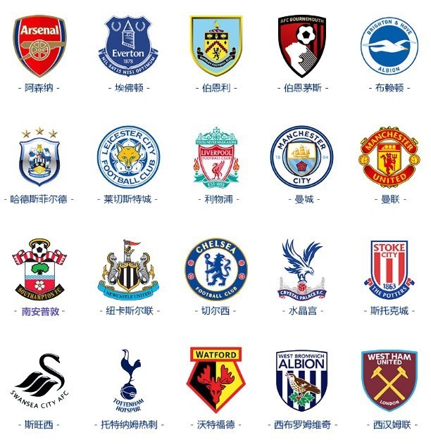 不仅展示了 不仅展示了